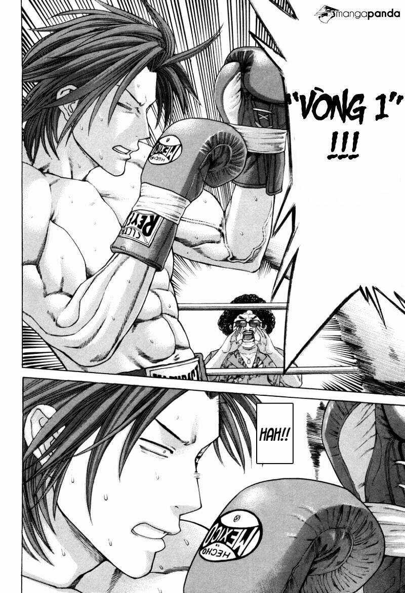 Karate Shoukoushi Kohinata Minoru Chapter 325 trang 15