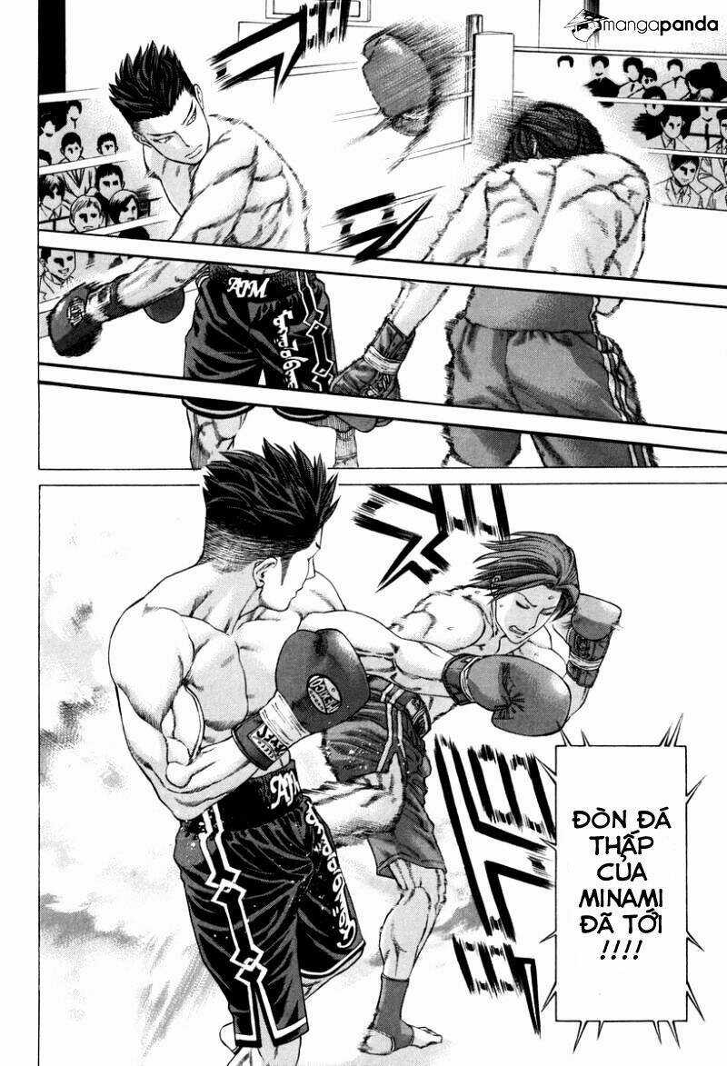 Karate Shoukoushi Kohinata Minoru Chapter 325 trang 17