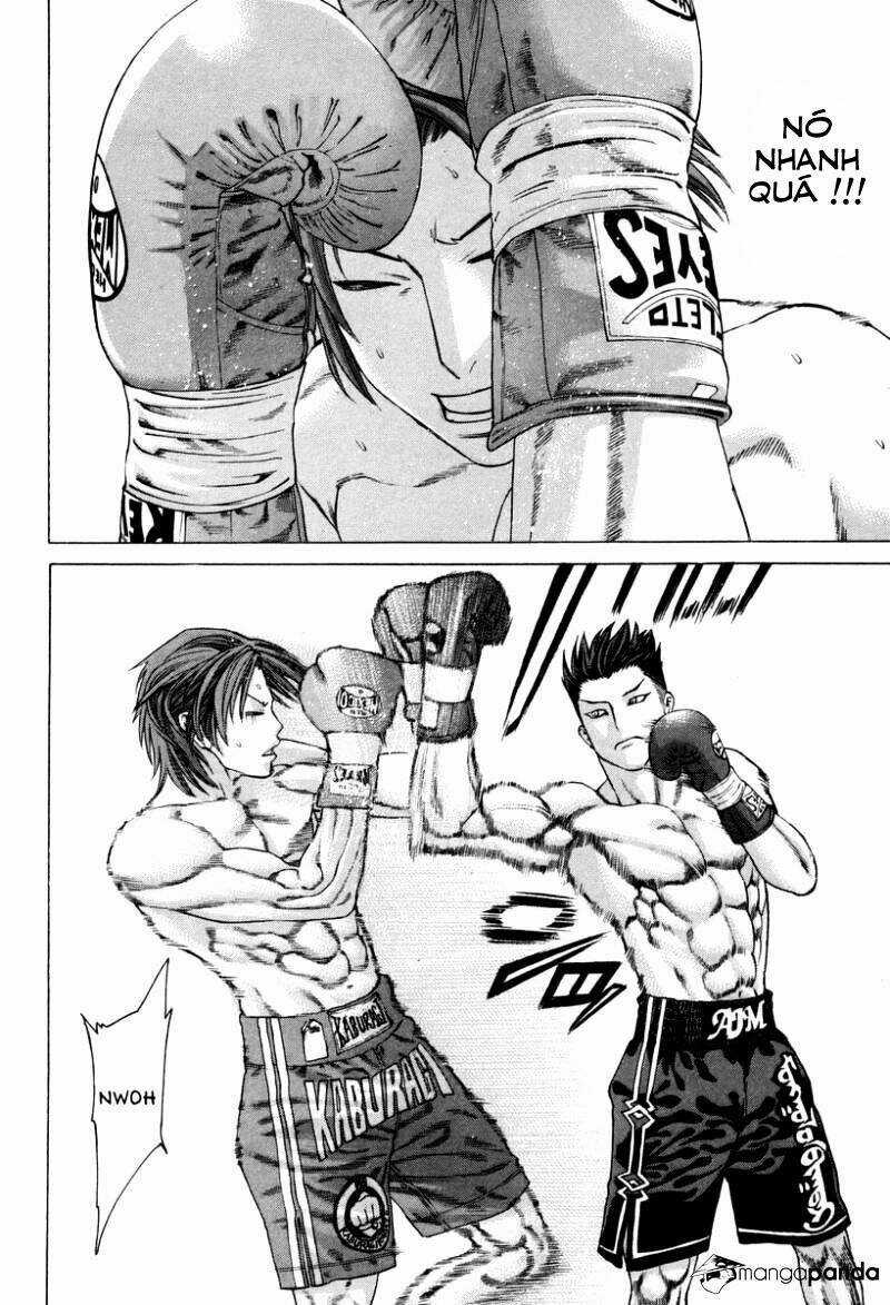 Karate Shoukoushi Kohinata Minoru Chapter 325 trang 7