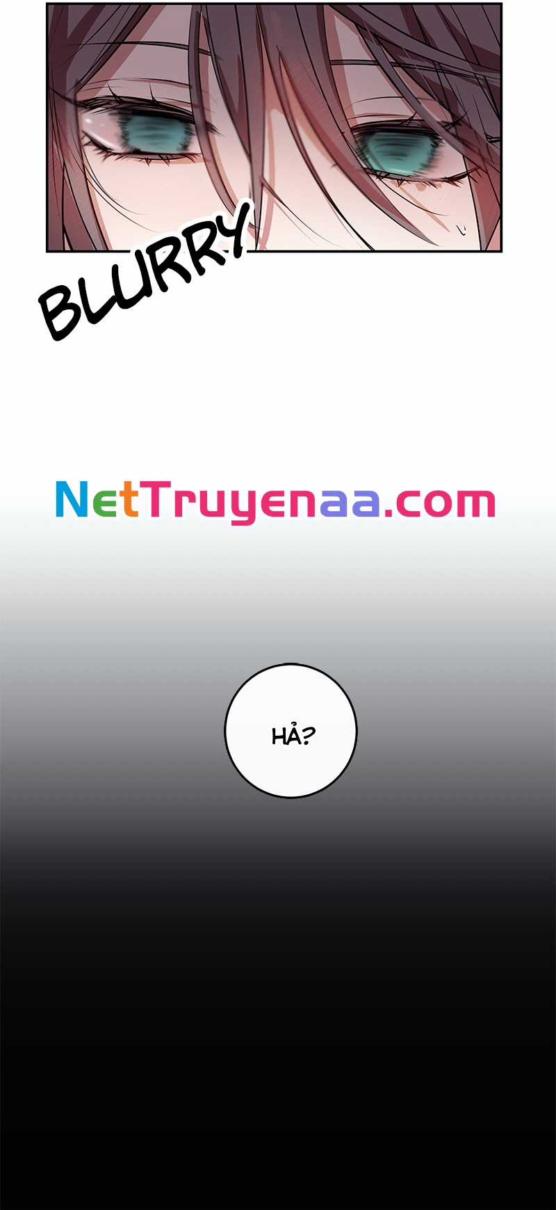 Kẻ Chinh Phục Trái Tim Chapter 27 trang 9