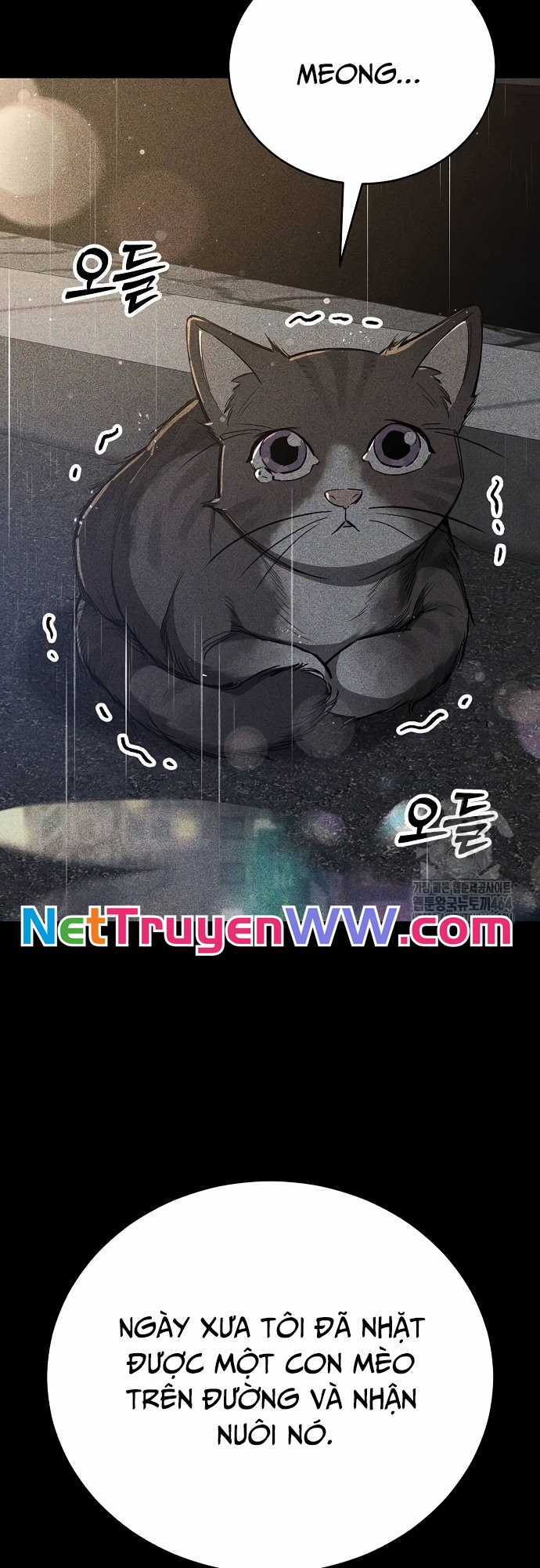 Kẻ Điên Và Đội Trưởng Cảnh Vệ Chapter 12 trang 17