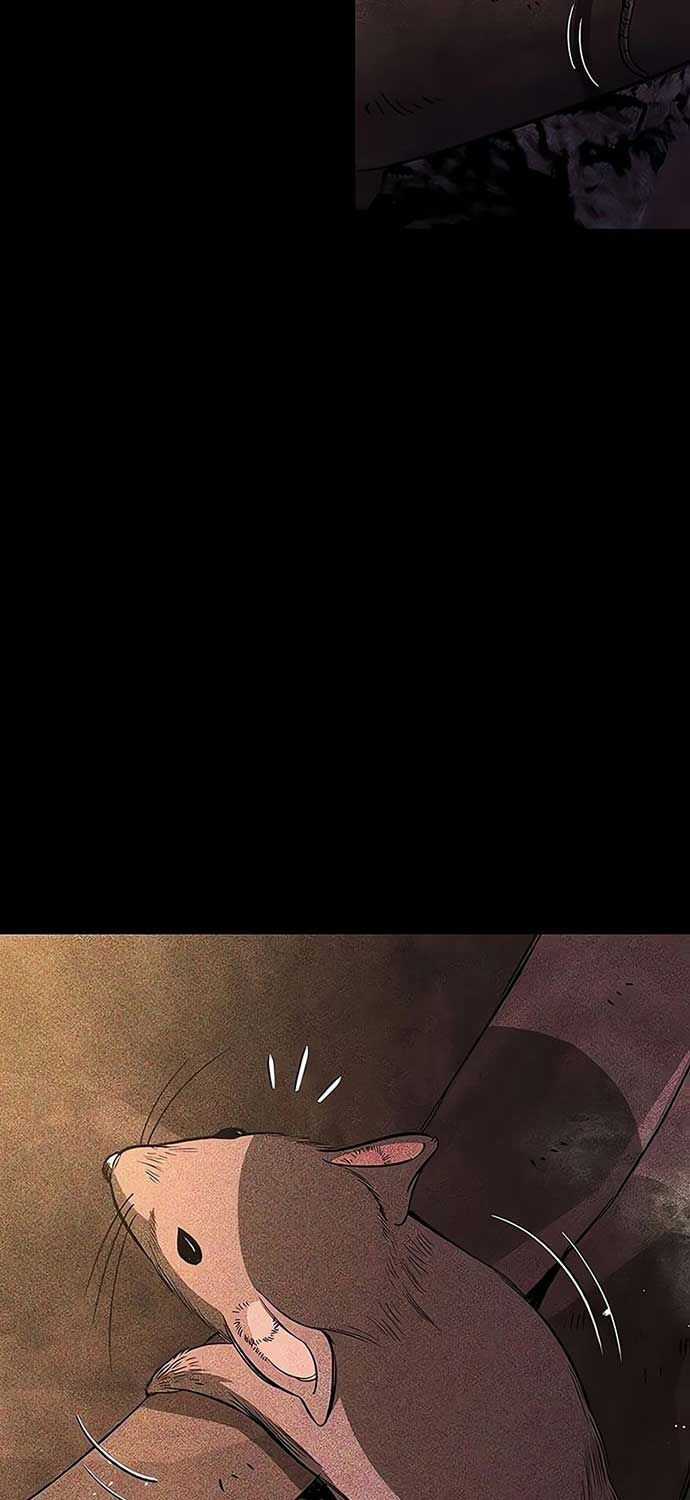 Kẻ Điên Và Đội Trưởng Cảnh Vệ Chapter 14 trang 3