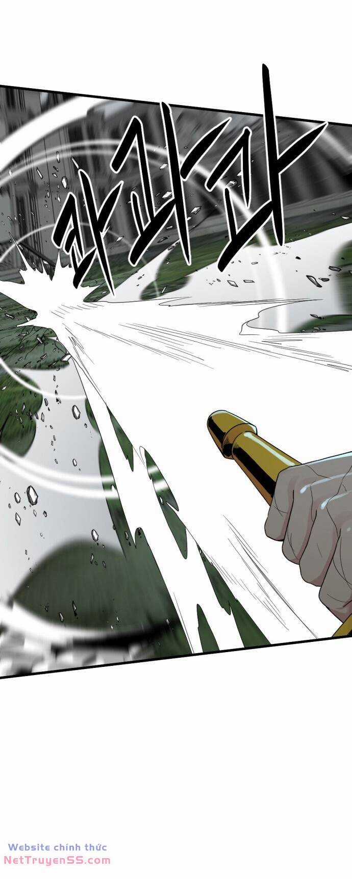 Kẻ Giết Anh Hùng Chapter 151 trang 17