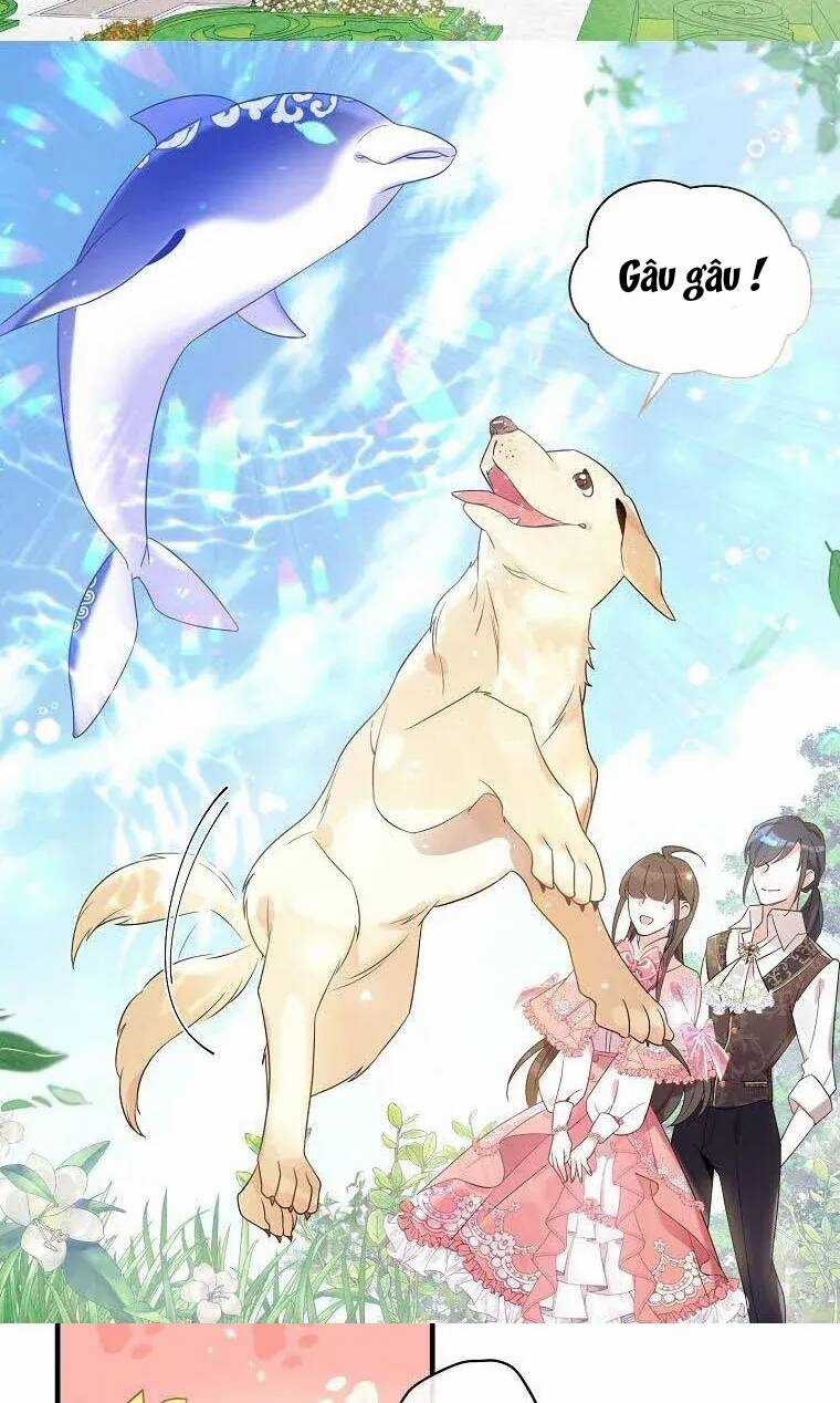 Kế Hoạch B Chapter 20 trang 46