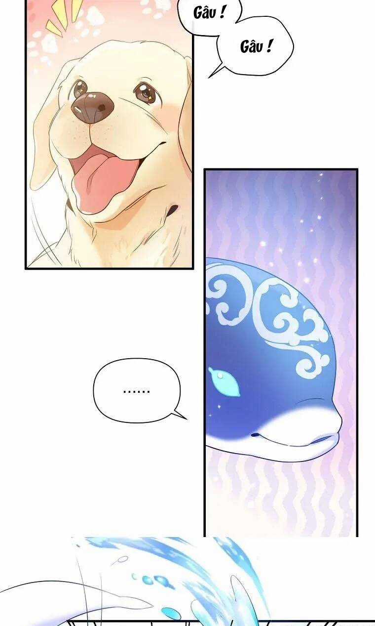 Kế Hoạch B Chapter 20 trang 47