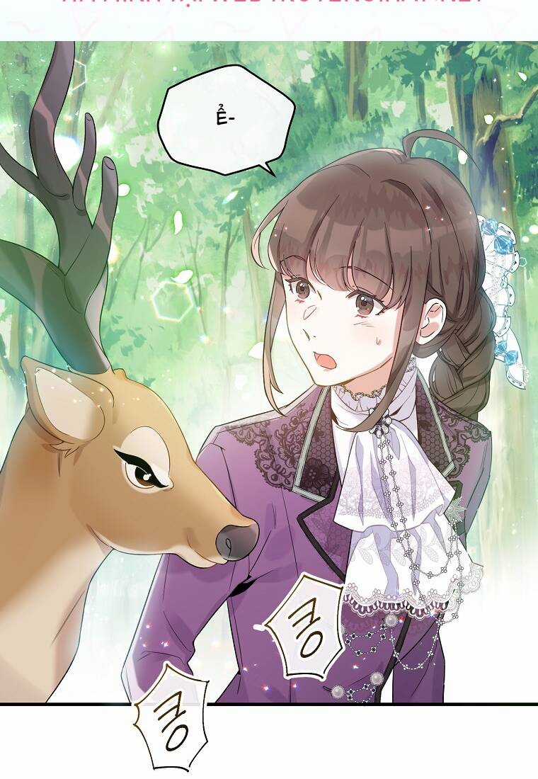 Kế Hoạch B Chapter 22 trang 31