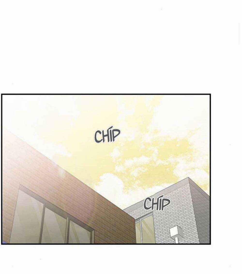 Kế Hoạch Hẹn Hò Của Bareum Chapter 93 trang 97