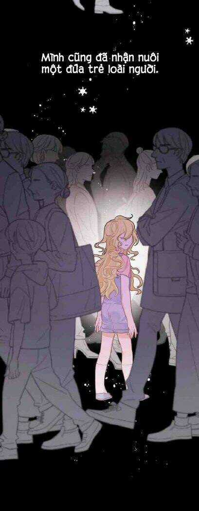 Kế Hoạch Săn Phù Thủy Hiện Đại Chapter 2 trang 19