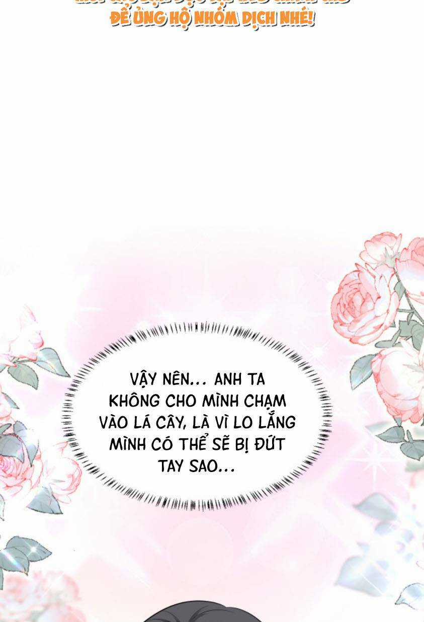 Kế Hoạch Thuần Phục Thú Phu Kiêu Ngạo Chapter 11 trang 13