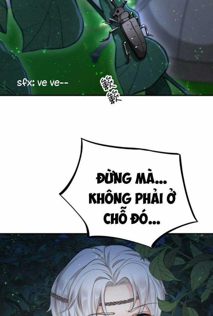 Kế Hoạch Thuần Phục Thú Phu Kiêu Ngạo Chapter 12 trang 3