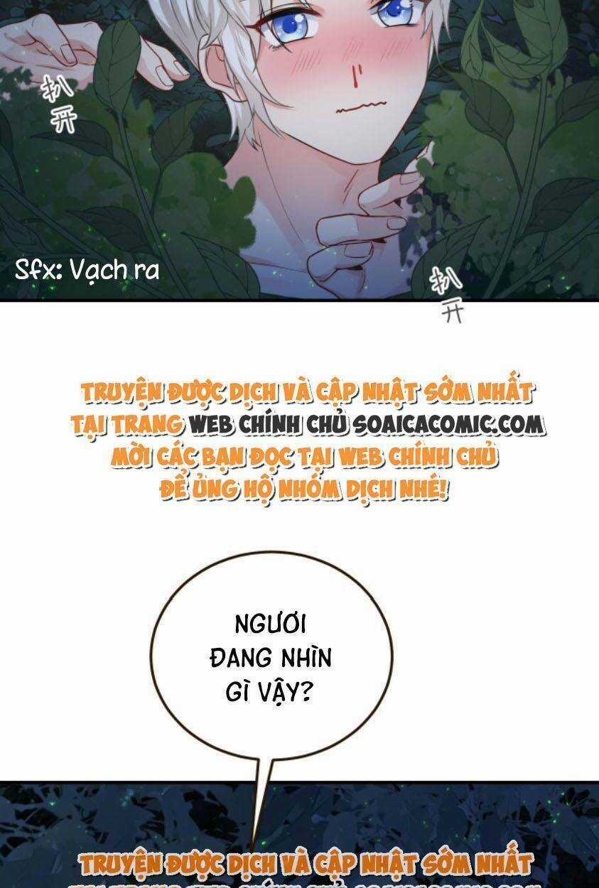 Kế Hoạch Thuần Phục Thú Phu Kiêu Ngạo Chapter 12 trang 4