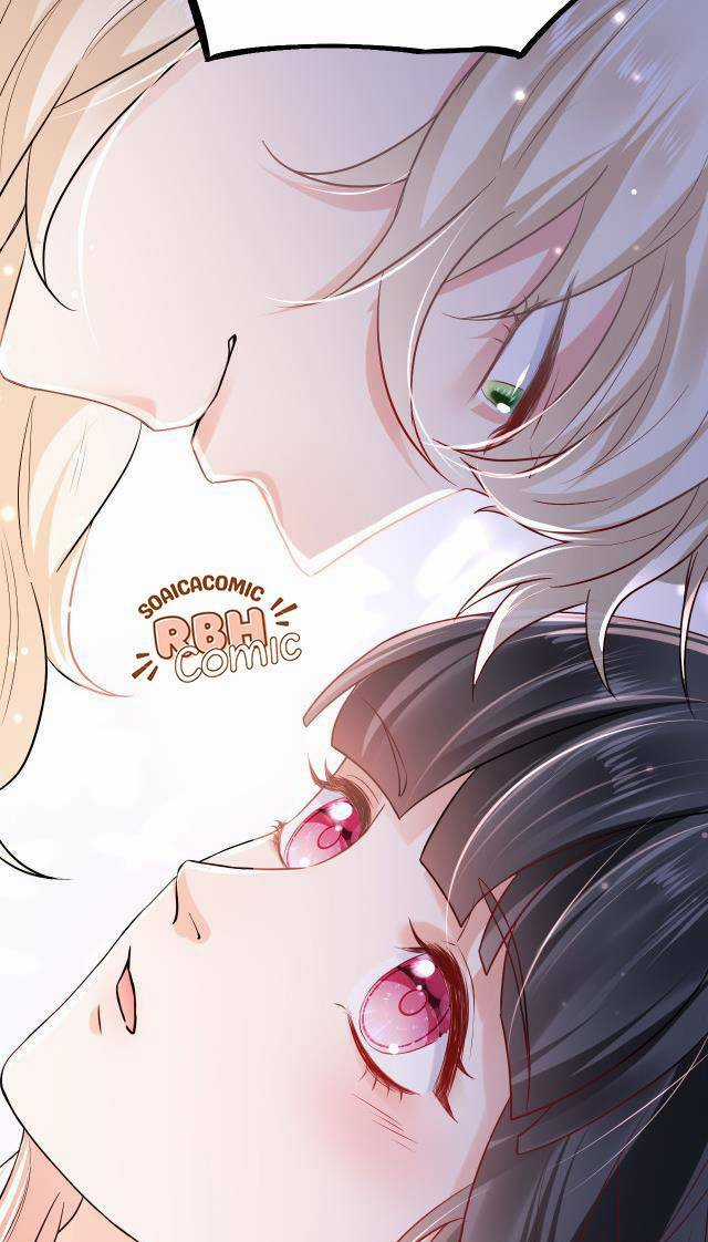 Kế Hoạch Thuần Phục Thú Phu Kiêu Ngạo Chapter 14 trang 29