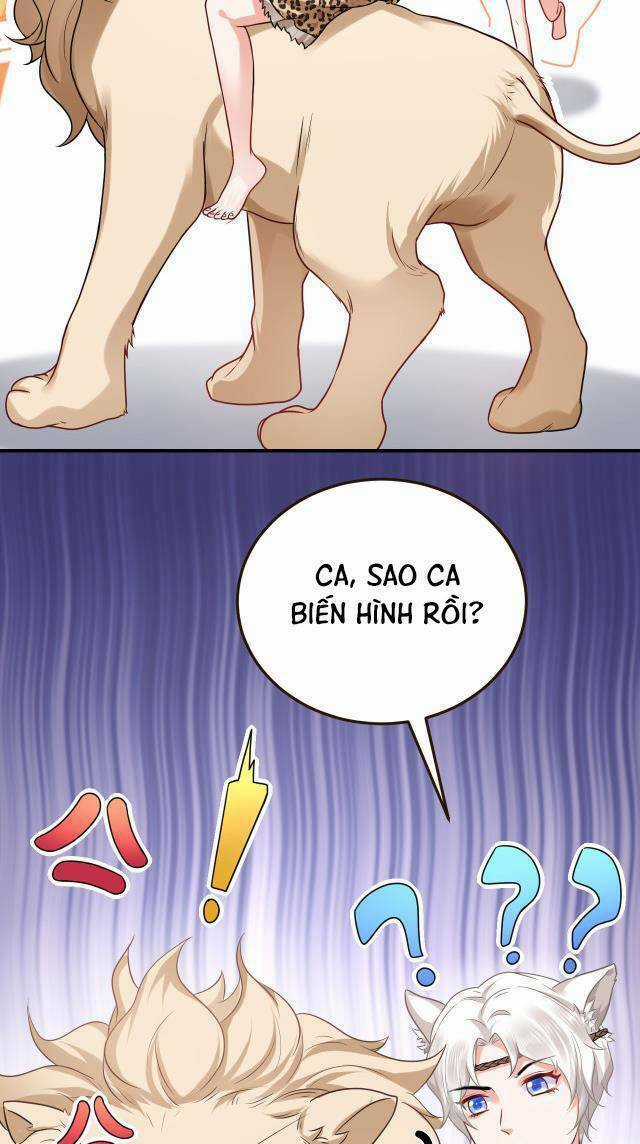 Kế Hoạch Thuần Phục Thú Phu Kiêu Ngạo Chapter 15 trang 31