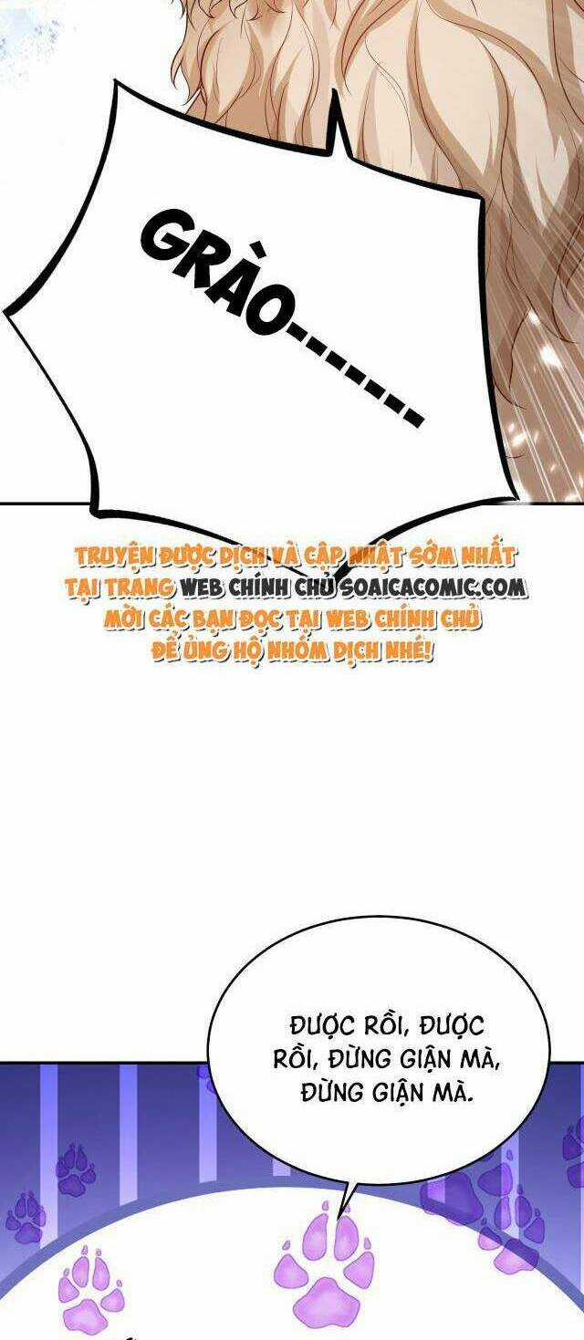 Kế Hoạch Thuần Phục Thú Phu Kiêu Ngạo Chapter 15 trang 4