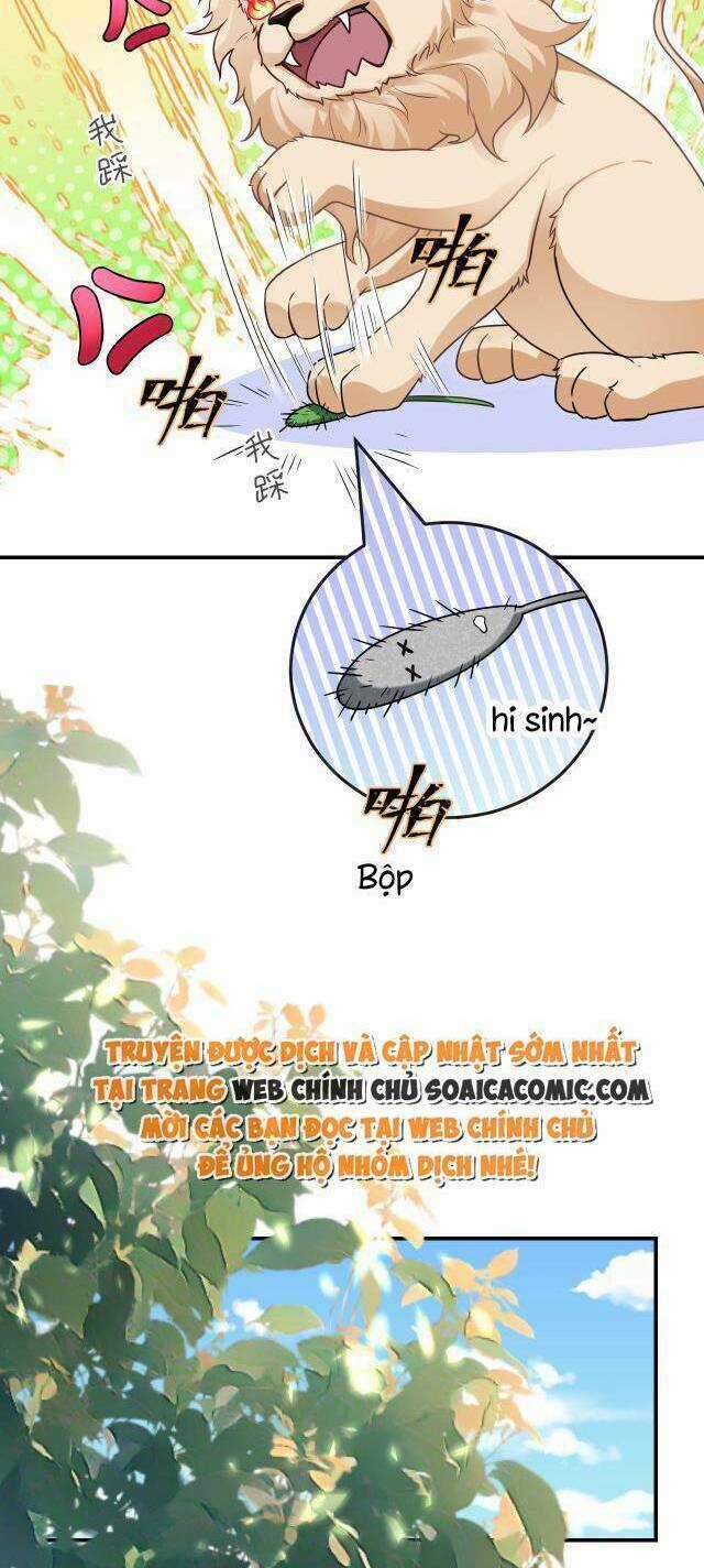 Kế Hoạch Thuần Phục Thú Phu Kiêu Ngạo Chapter 15 trang 41
