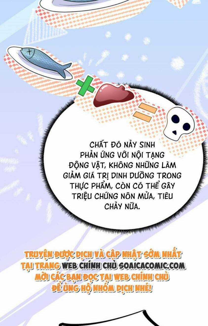 Kế Hoạch Thuần Phục Thú Phu Kiêu Ngạo Chapter 17 trang 39