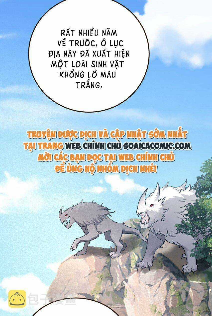 Kế Hoạch Thuần Phục Thú Phu Kiêu Ngạo Chapter 20 trang 4