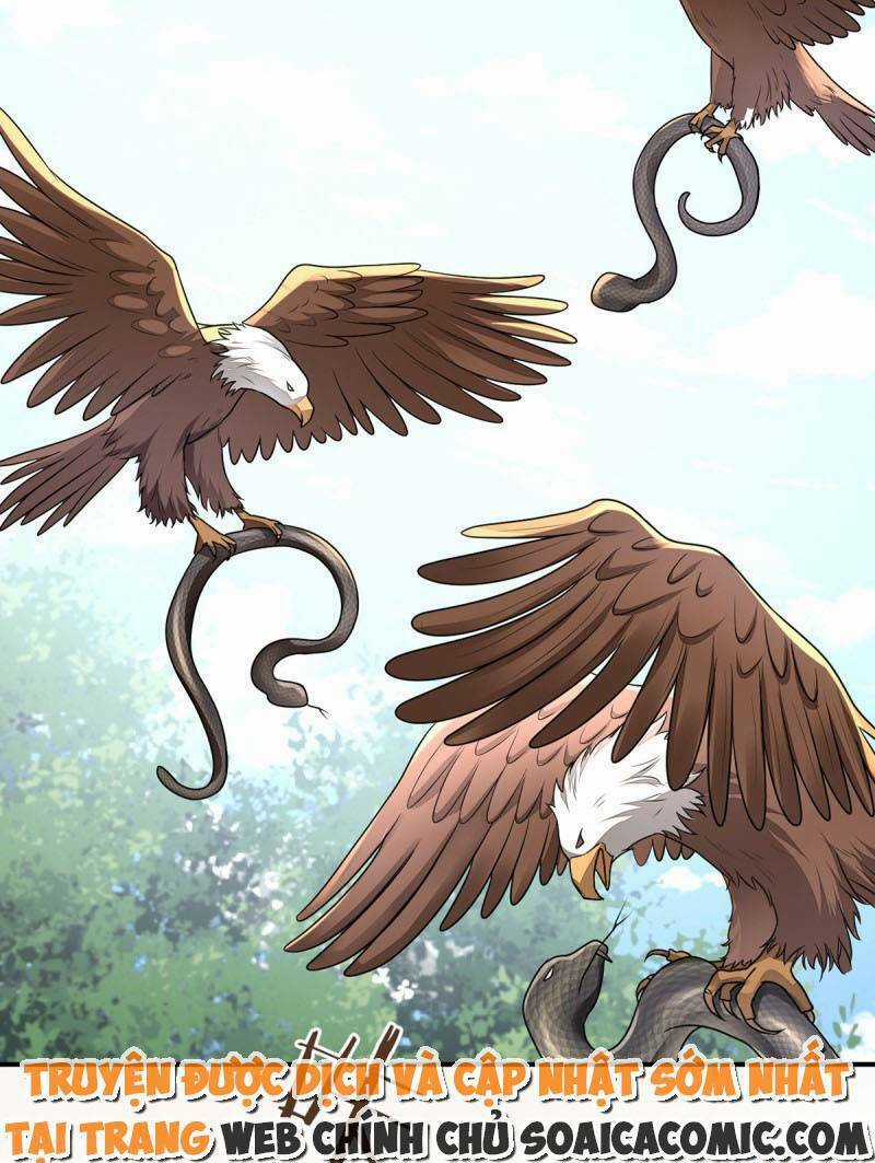 Kế Hoạch Thuần Phục Thú Phu Kiêu Ngạo Chapter 23 trang 67