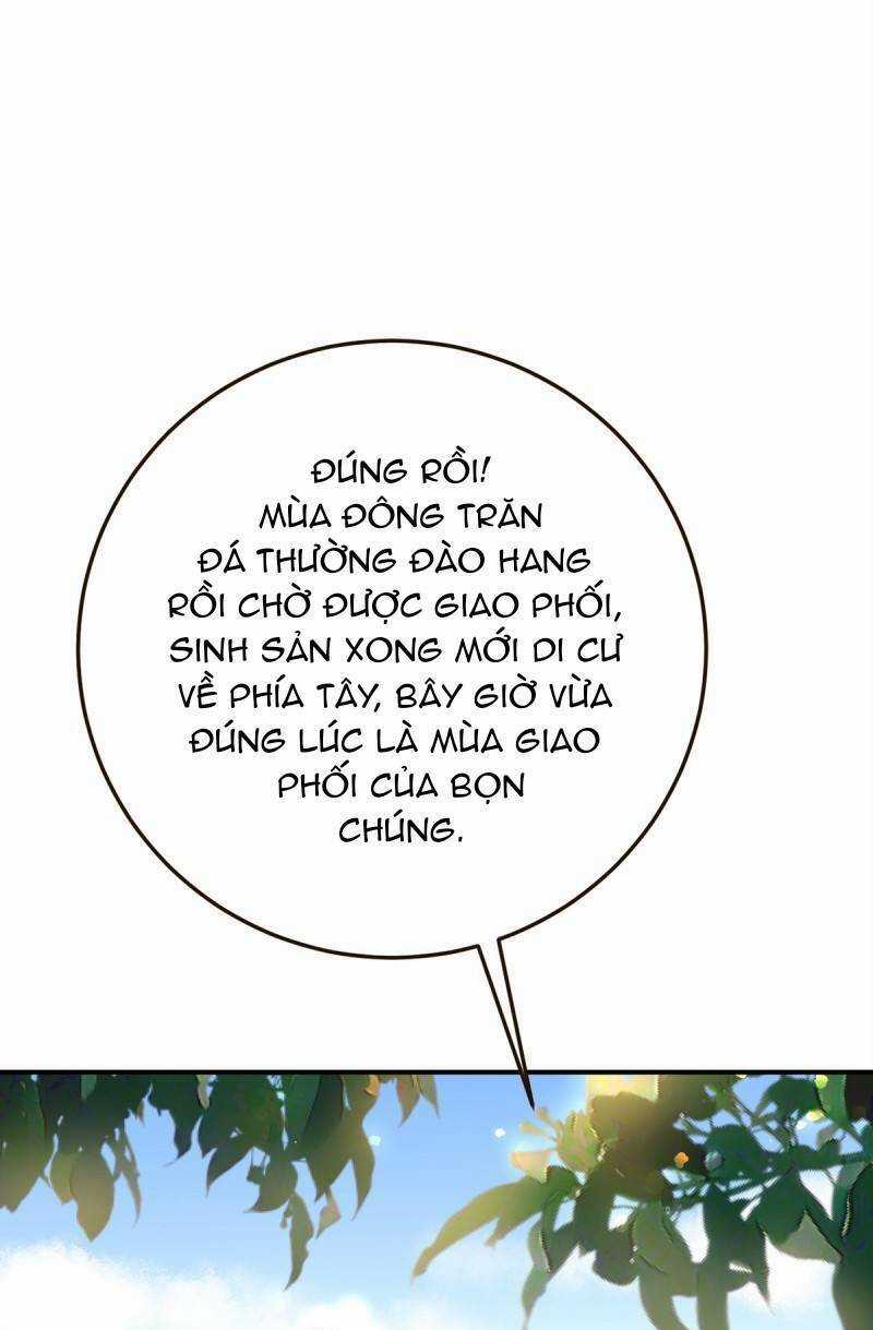 Kế Hoạch Thuần Phục Thú Phu Kiêu Ngạo Chapter 24 trang 15