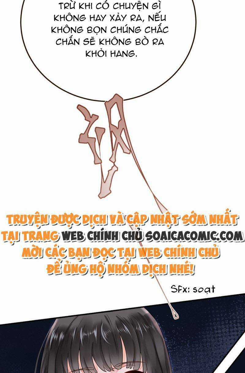 Kế Hoạch Thuần Phục Thú Phu Kiêu Ngạo Chapter 24 trang 17