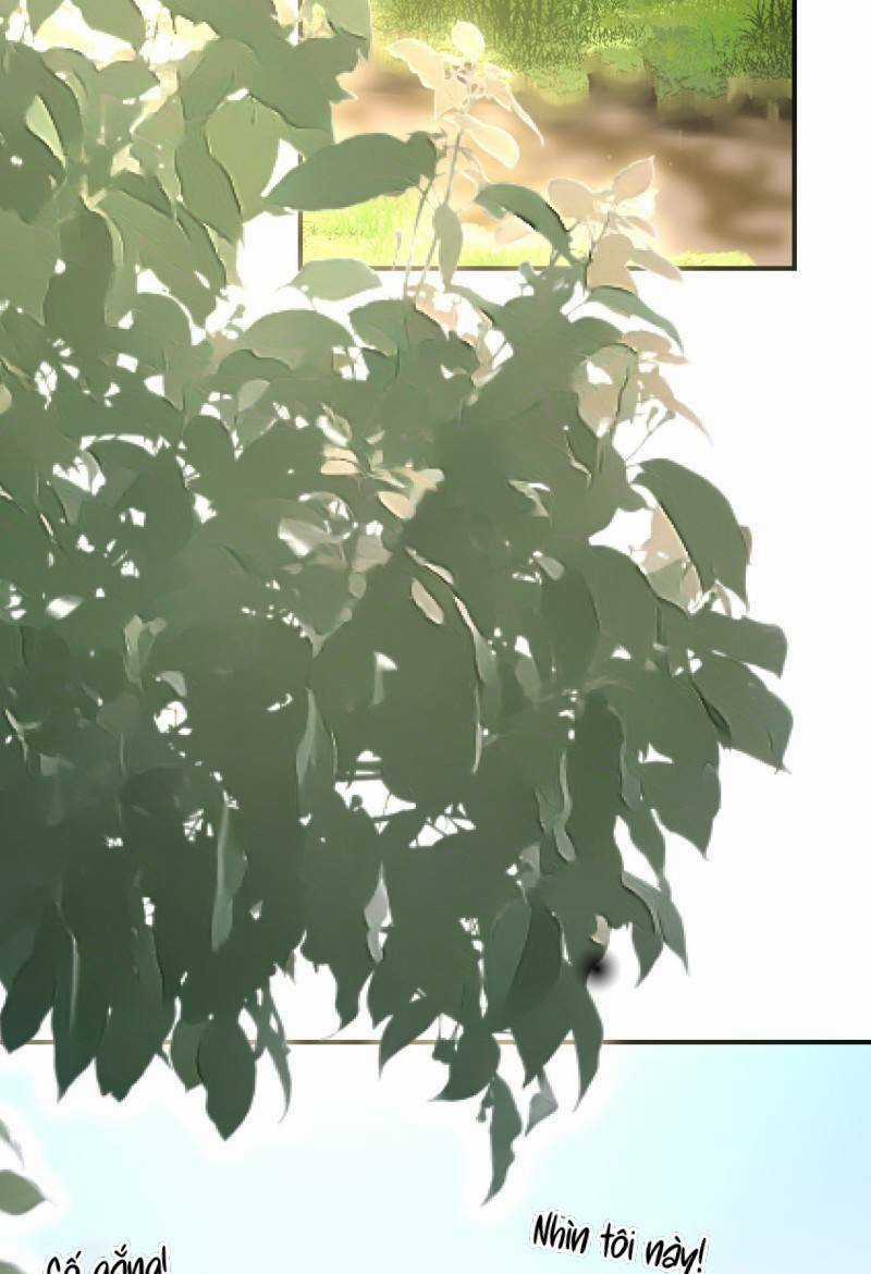 Kế Hoạch Thuần Phục Thú Phu Kiêu Ngạo Chapter 26 trang 25