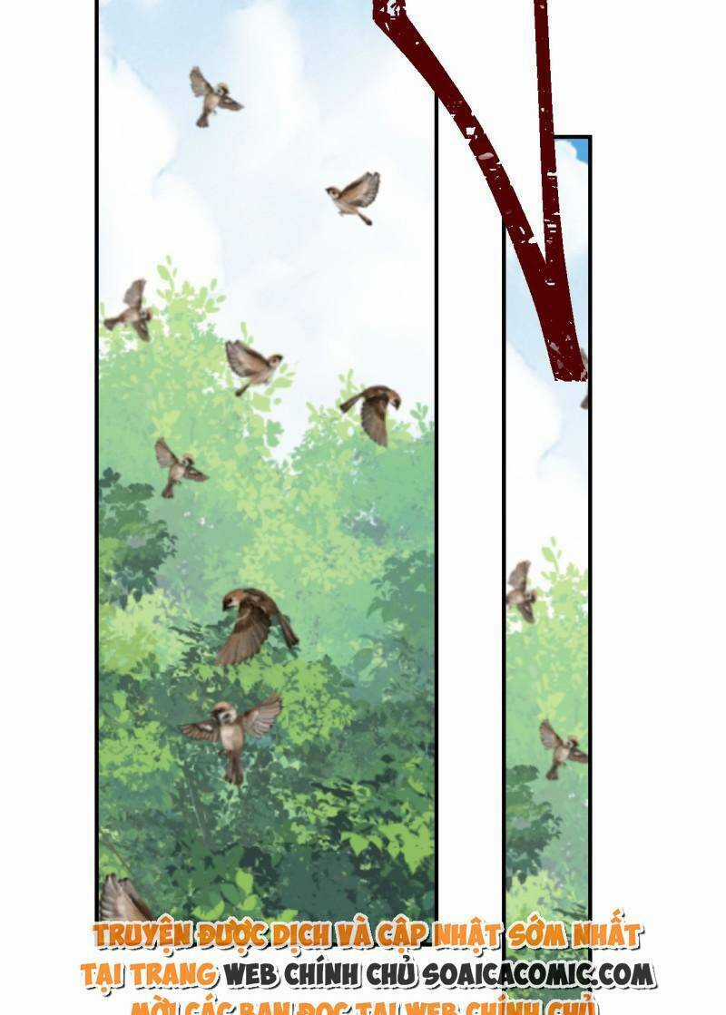 Kế Hoạch Thuần Phục Thú Phu Kiêu Ngạo Chapter 27 trang 19