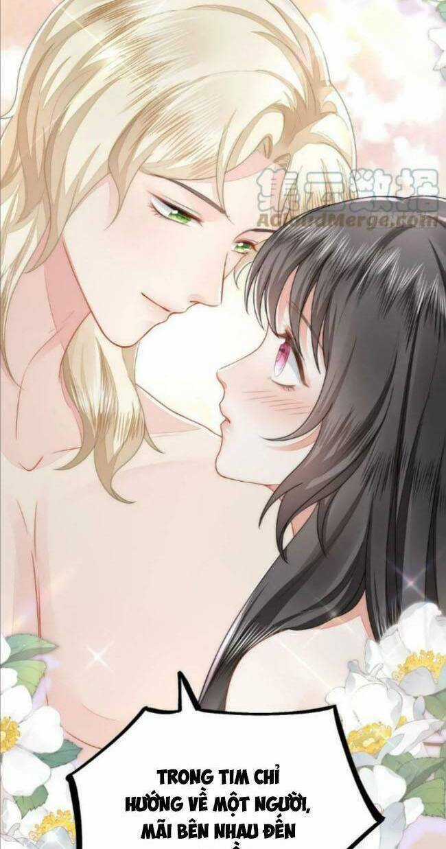 Kế Hoạch Thuần Phục Thú Phu Kiêu Ngạo Chapter 38 trang 24