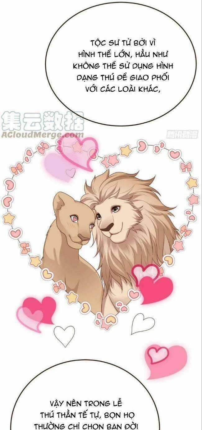 Kế Hoạch Thuần Phục Thú Phu Kiêu Ngạo Chapter 39 trang 8