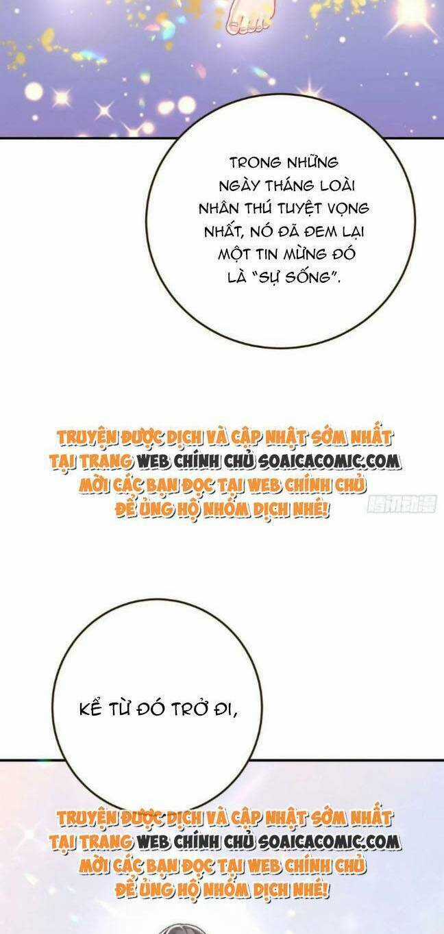 Kế Hoạch Thuần Phục Thú Phu Kiêu Ngạo Chapter 40 trang 30