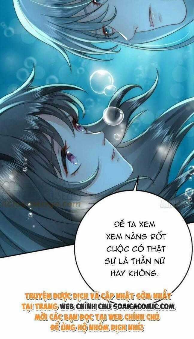 Kế Hoạch Thuần Phục Thú Phu Kiêu Ngạo Chapter 40 trang 41