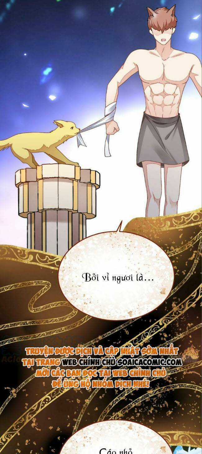 Kế Hoạch Thuần Phục Thú Phu Kiêu Ngạo Chapter 41 trang 20