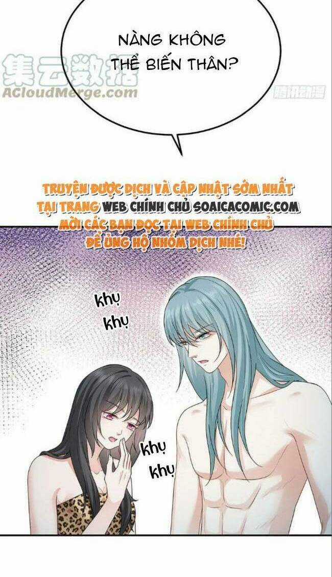 Kế Hoạch Thuần Phục Thú Phu Kiêu Ngạo Chapter 41 trang 5