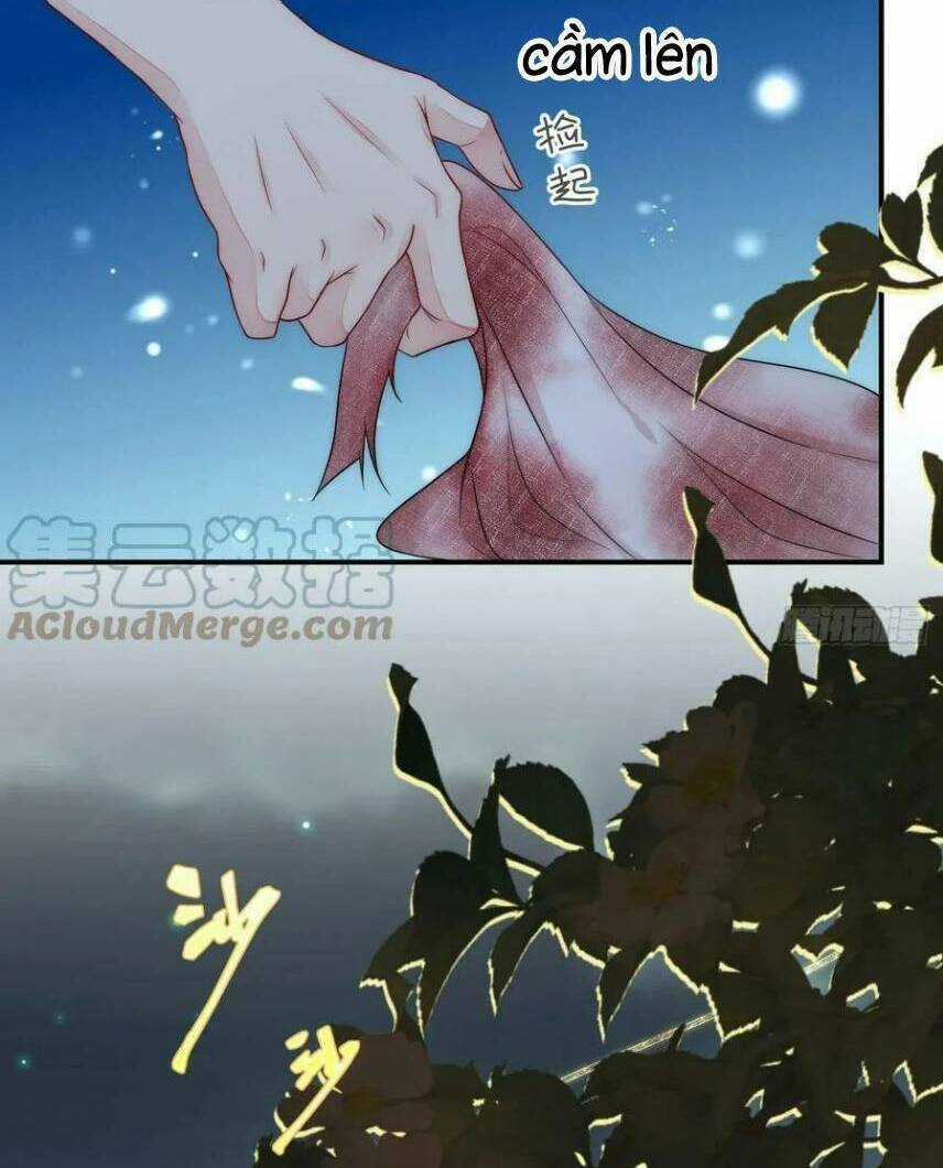 Kế Hoạch Thuần Phục Thú Phu Kiêu Ngạo Chapter 42 trang 21