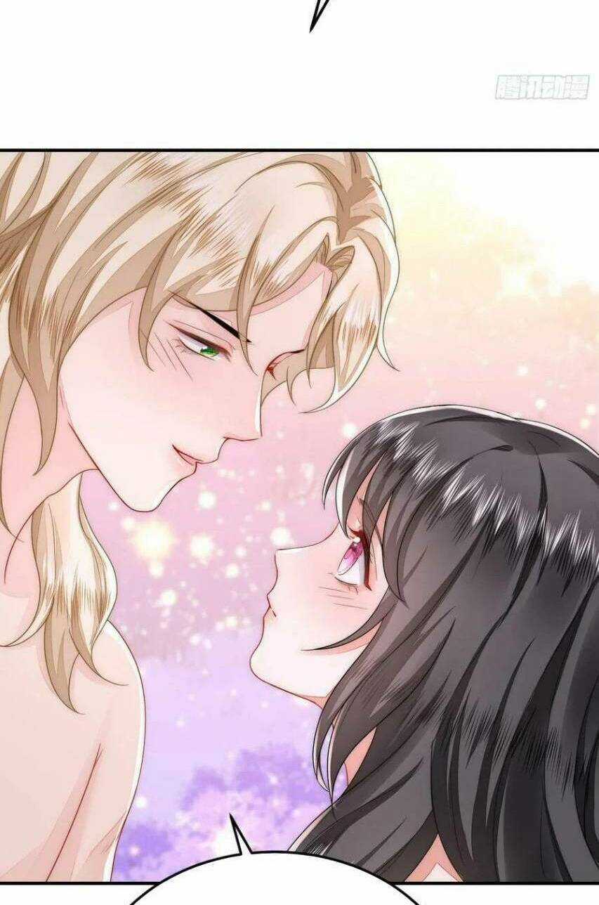 Kế Hoạch Thuần Phục Thú Phu Kiêu Ngạo Chapter 42 trang 5