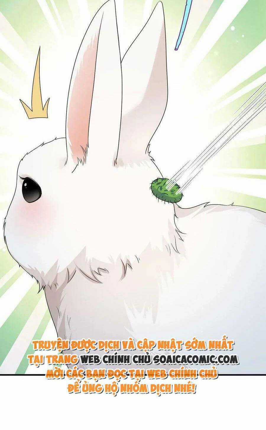 Kế Hoạch Thuần Phục Thú Phu Kiêu Ngạo Chapter 46 trang 5