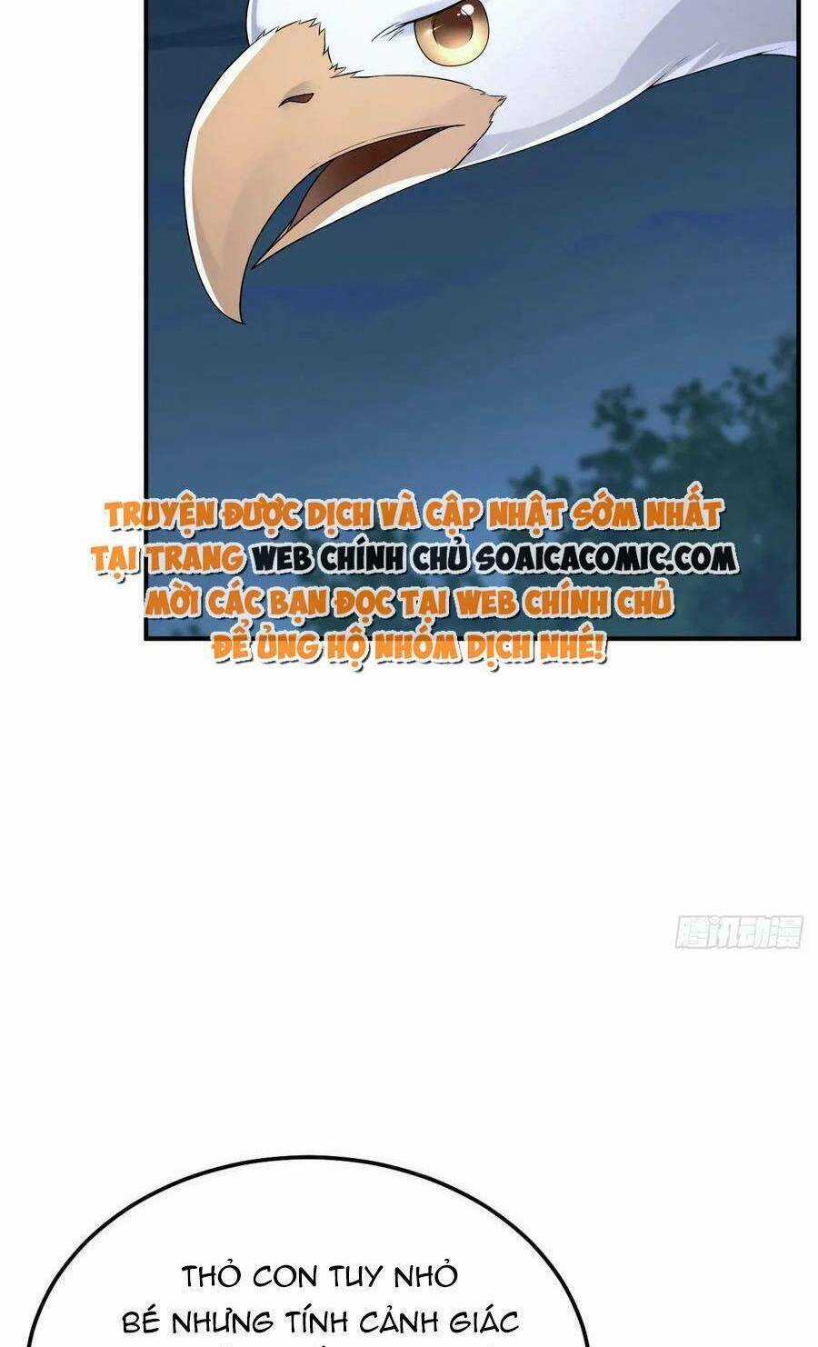 Kế Hoạch Thuần Phục Thú Phu Kiêu Ngạo Chapter 46 trang 51