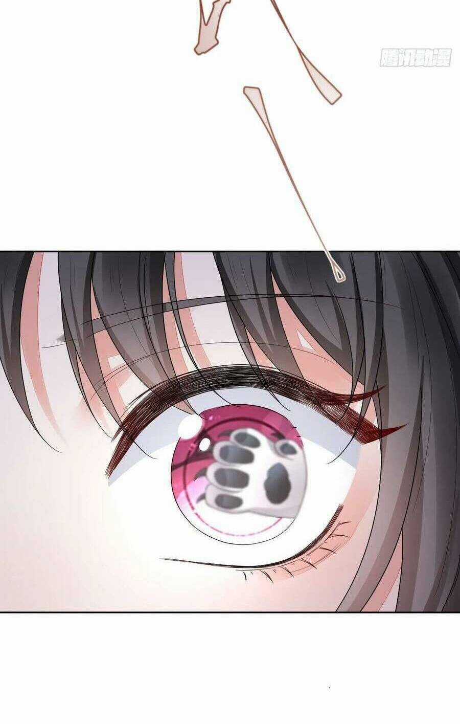 Kế Hoạch Thuần Phục Thú Phu Kiêu Ngạo Chapter 49 trang 45