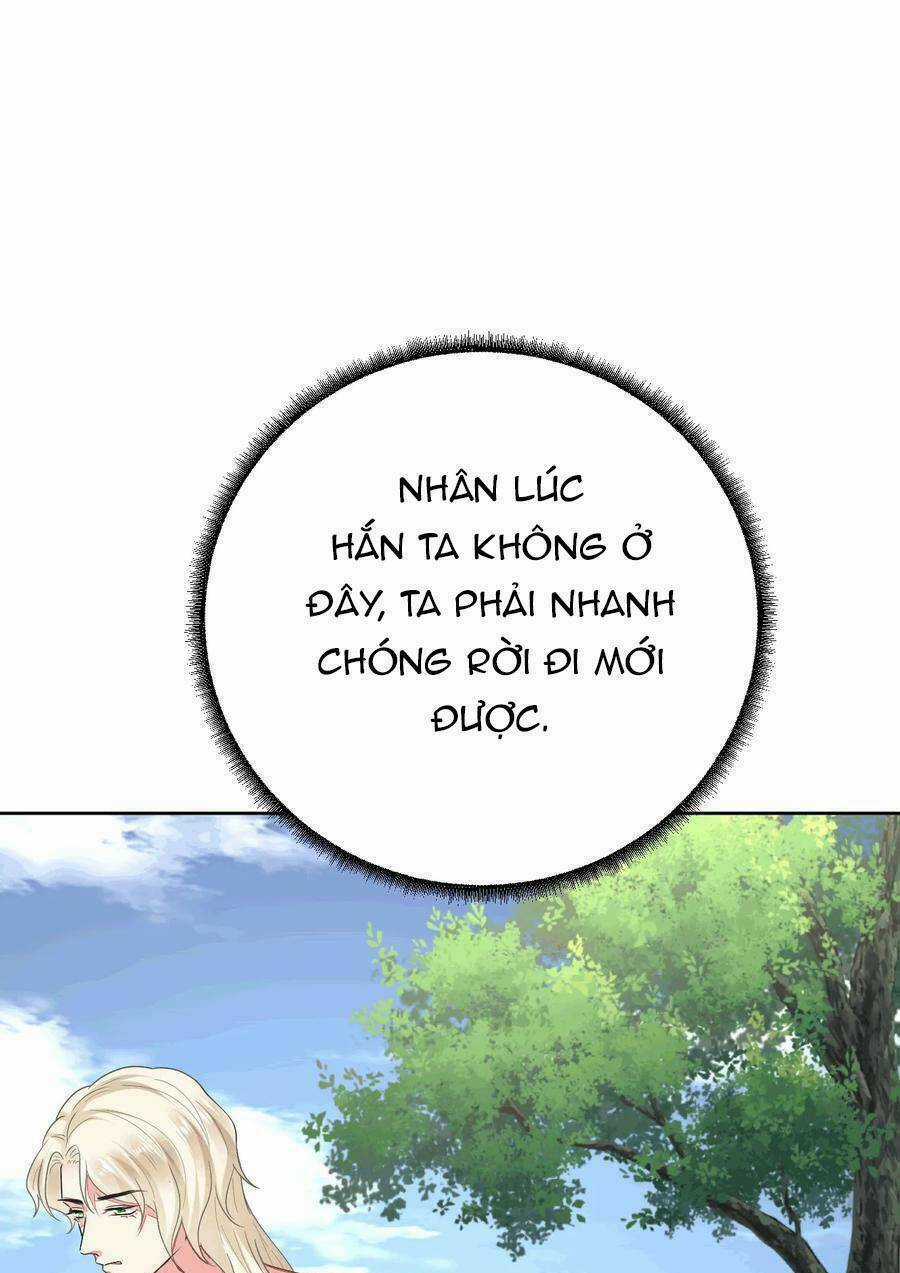 Kế Hoạch Thuần Phục Thú Phu Kiêu Ngạo Chapter 52 trang 12