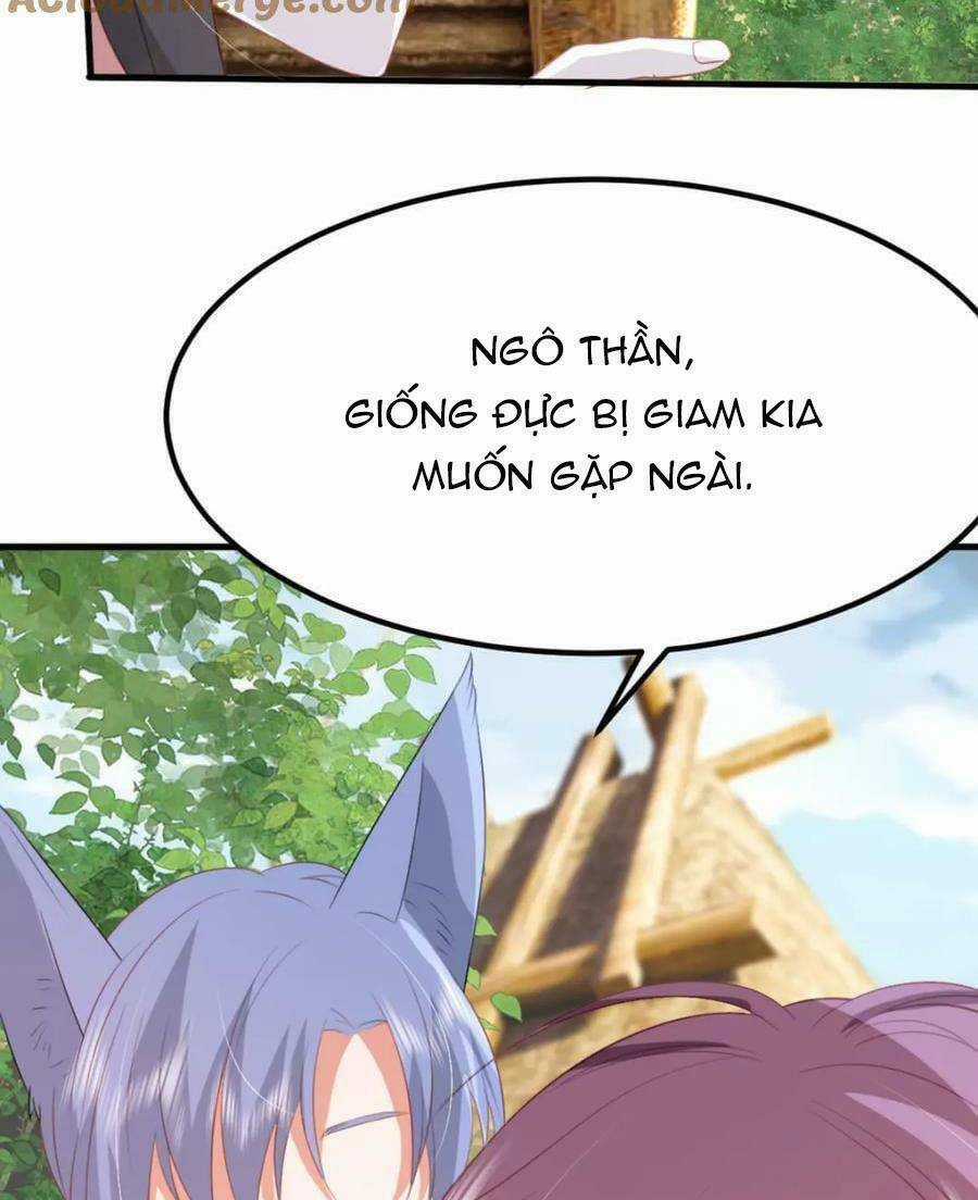 Kế Hoạch Thuần Phục Thú Phu Kiêu Ngạo Chapter 59 trang 5