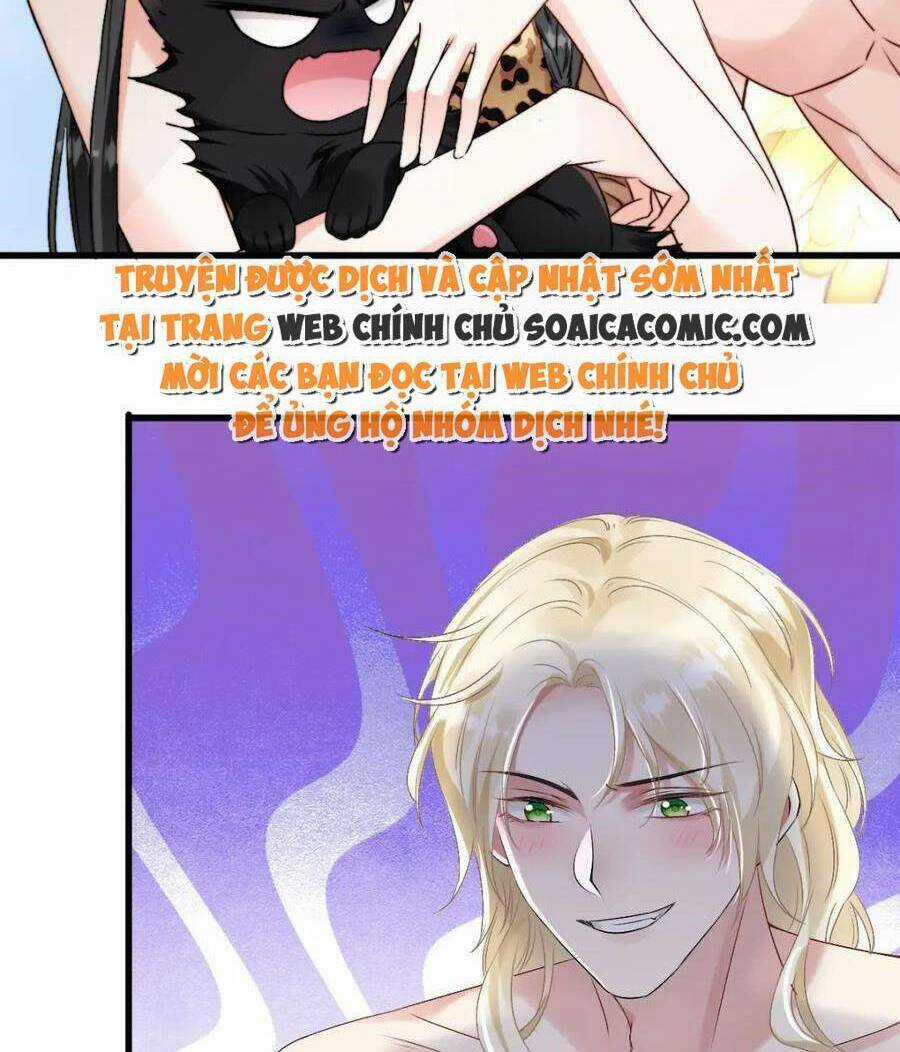 Kế Hoạch Thuần Phục Thú Phu Kiêu Ngạo Chapter 68 trang 5