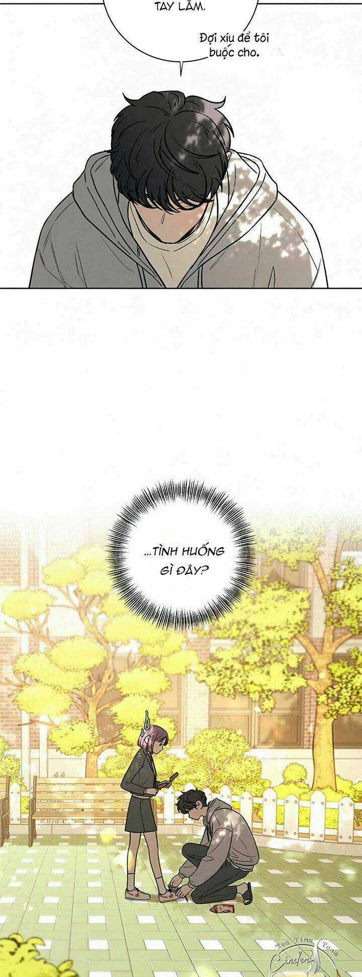 Kế Hoạch Tình Yêu Trong Sáng Chapter 10 trang 43