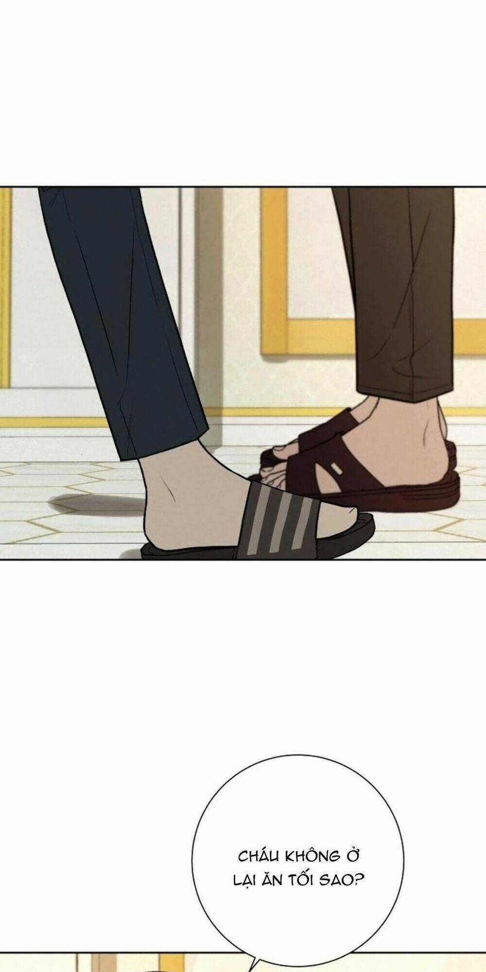 Kế Hoạch Tình Yêu Trong Sáng Chapter 15 trang 13