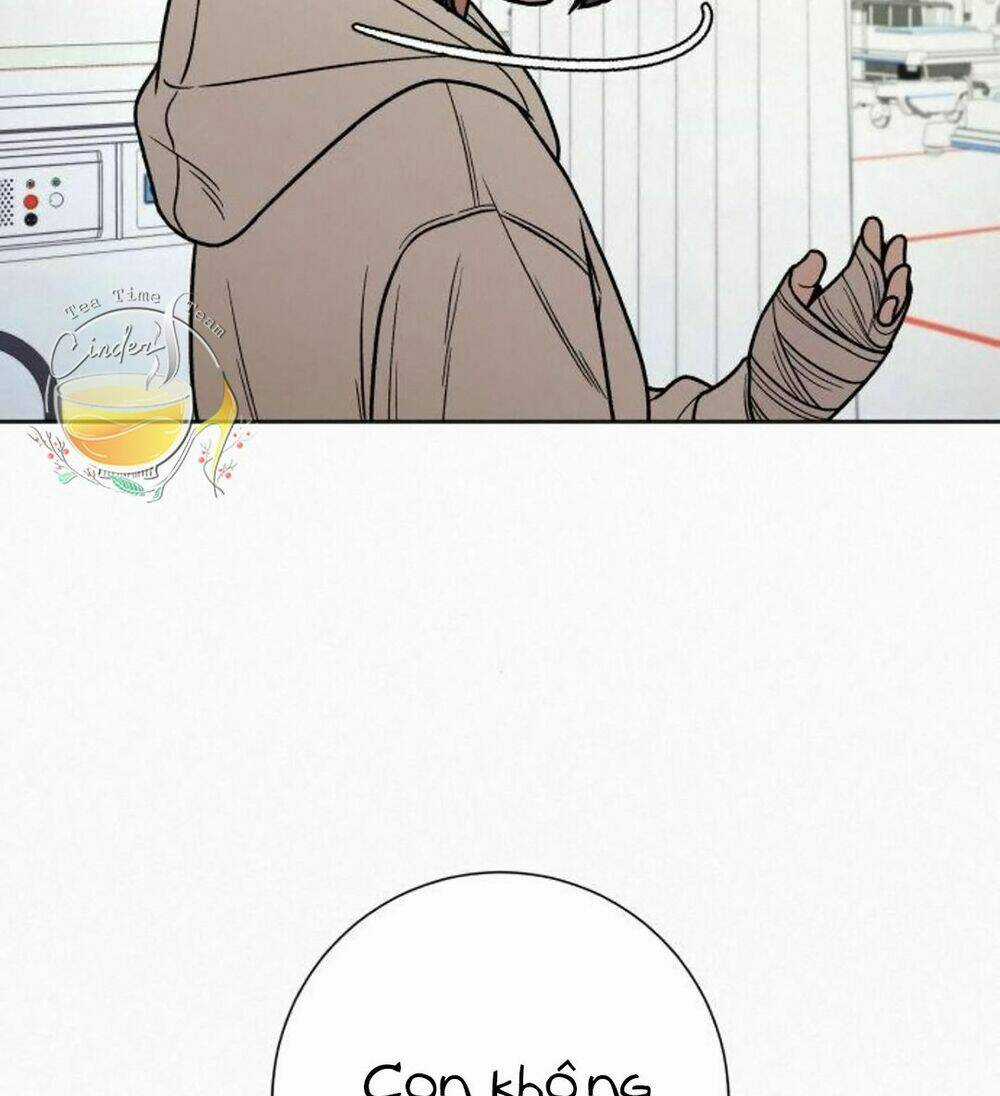 Kế Hoạch Tình Yêu Trong Sáng Chapter 22 trang 57