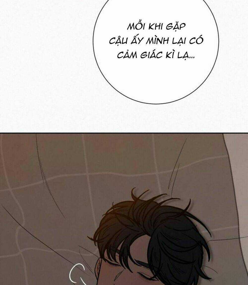 Kế Hoạch Tình Yêu Trong Sáng Chapter 22 trang 80