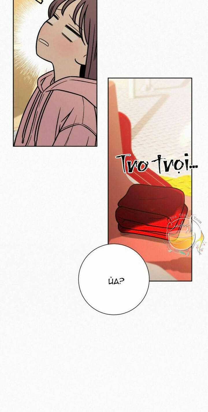 Kế Hoạch Tình Yêu Trong Sáng Chapter 29 trang 39