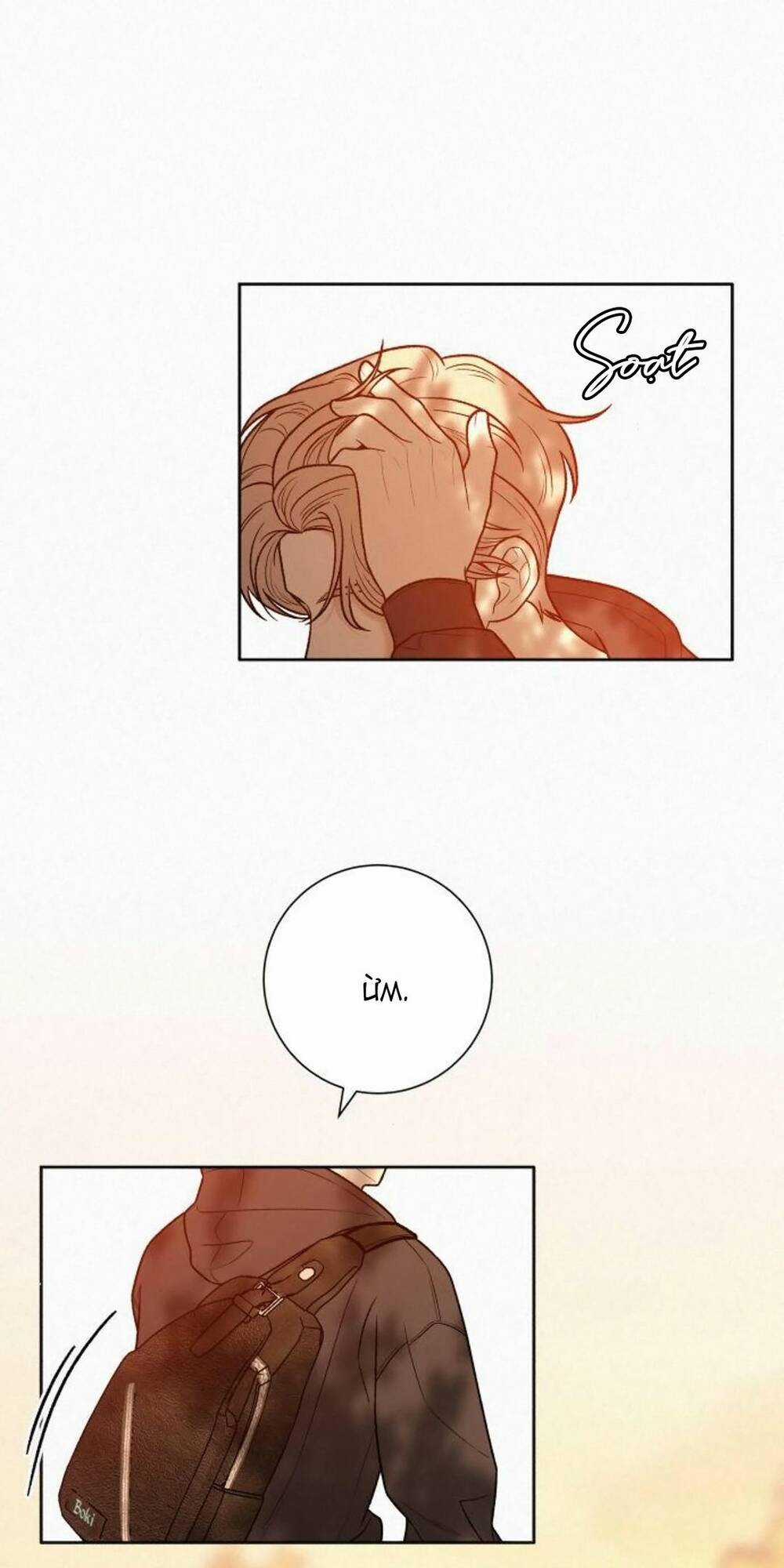 Kế Hoạch Tình Yêu Trong Sáng Chapter 39 trang 24