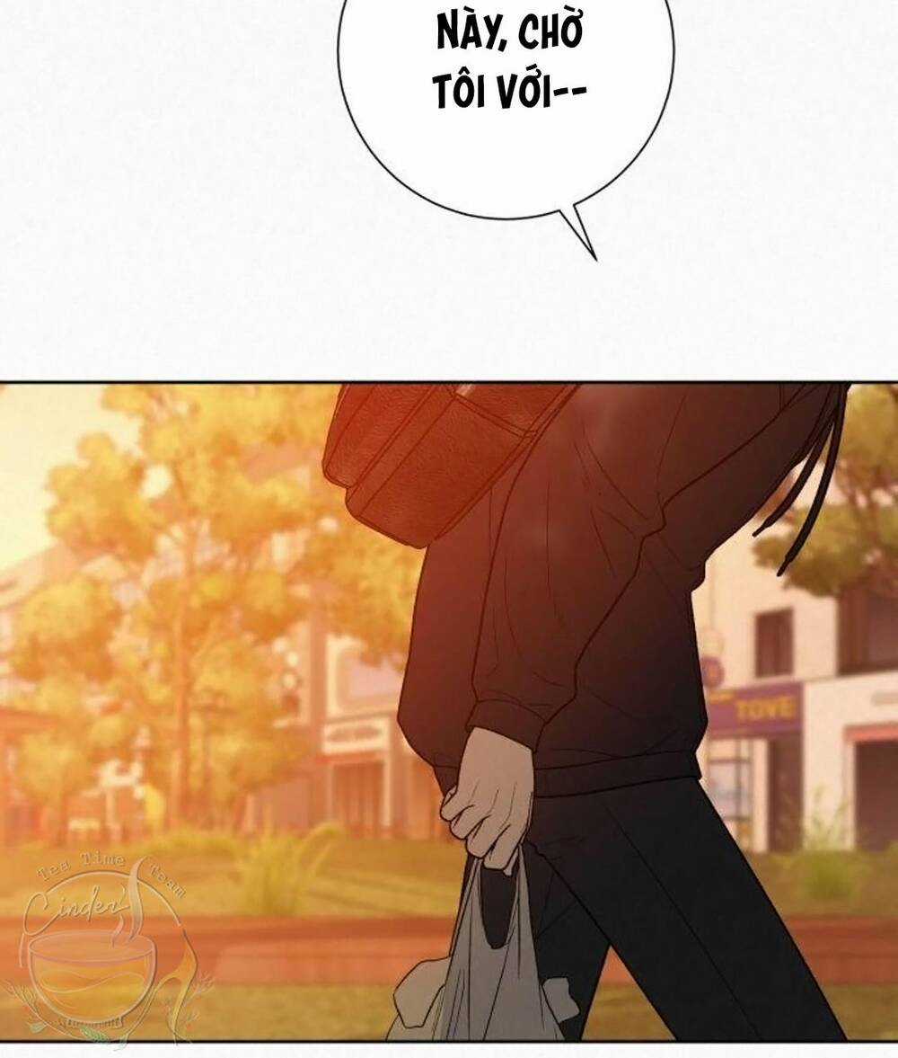 Kế Hoạch Tình Yêu Trong Sáng Chapter 39 trang 33