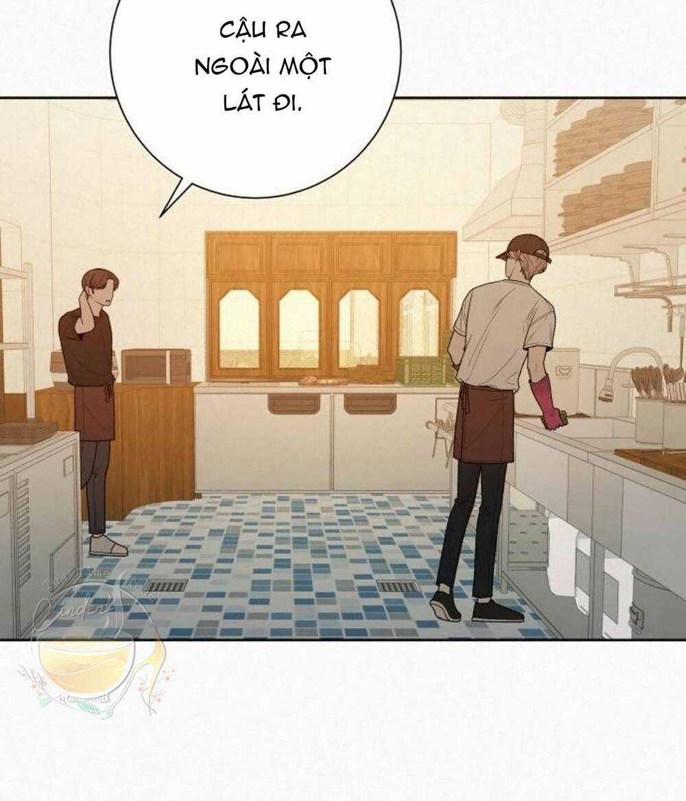 Kế Hoạch Tình Yêu Trong Sáng Chapter 39 trang 86