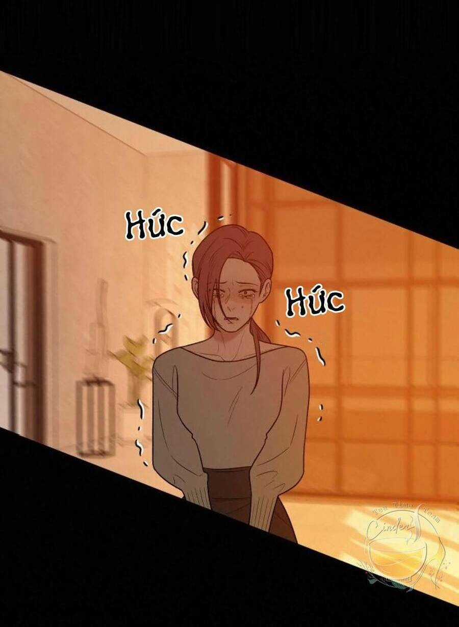 Kế Hoạch Tình Yêu Trong Sáng Chapter 40 trang 11