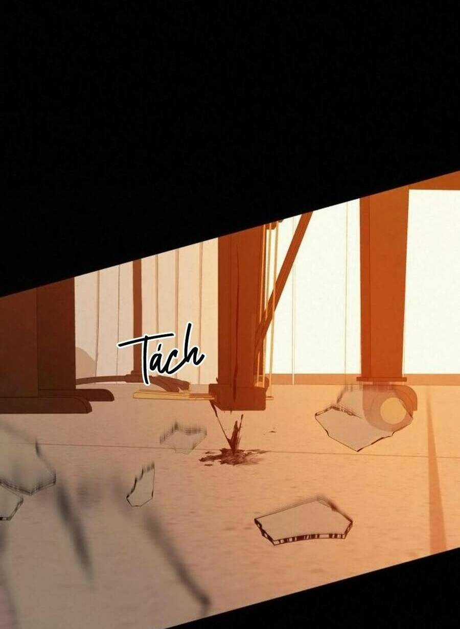 Kế Hoạch Tình Yêu Trong Sáng Chapter 40 trang 12